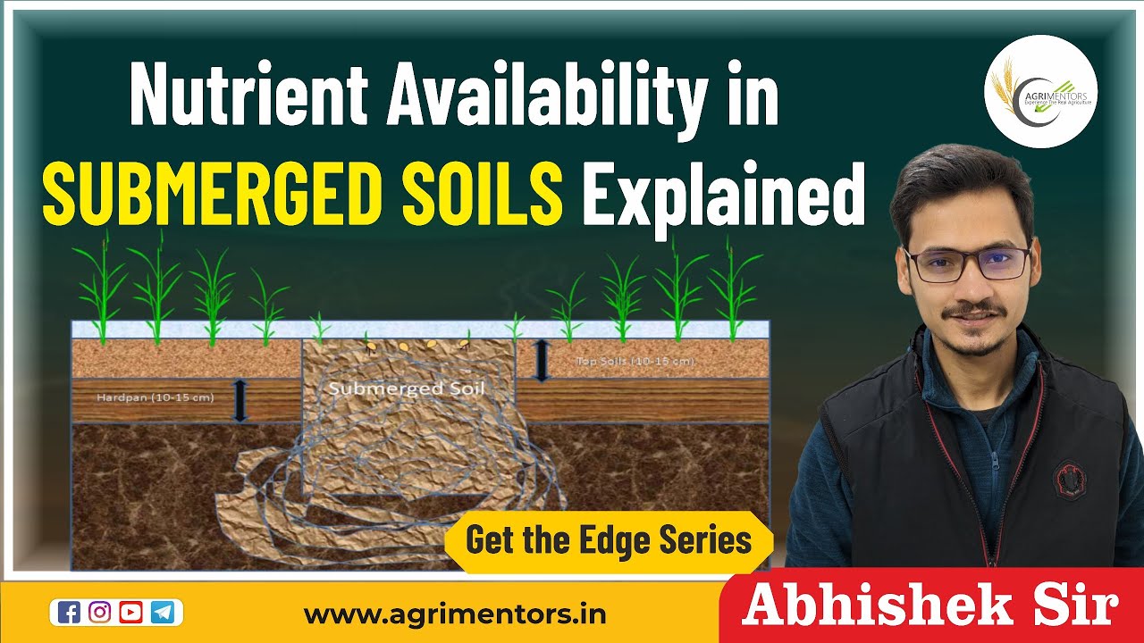 Nutrients Availability in Submerged Soils